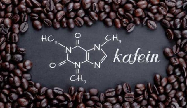 kafein nedir faydaları nelerdir