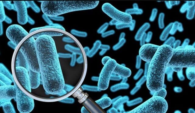 strep-a-virüsü-nedir