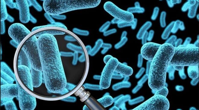 strep-a-virüsü-nedir