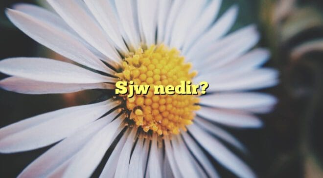 SJW Nedir?