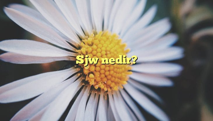 SJW Ne Demek? Sosyal Adalet Savaşçıları’nın Anlamı ve Rolü