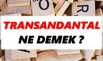 Transandantal Ne Demek