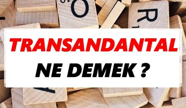 Transandantal Ne Demek