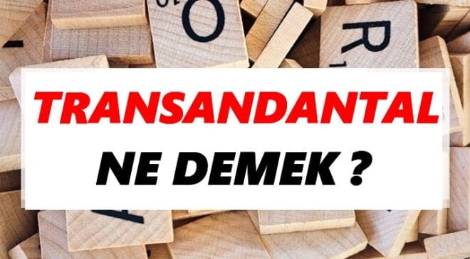 Transandantal Ne Demek