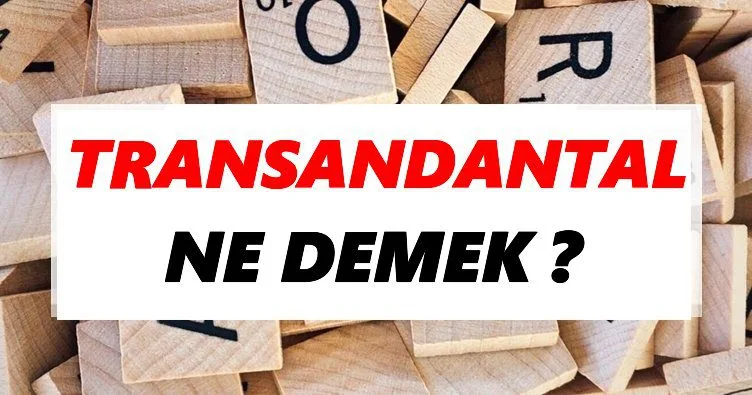 Transandantal Ne Demek? Kavramın Anlamı ve Felsefi İncelemesi