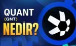Quant Projesi Nedir?